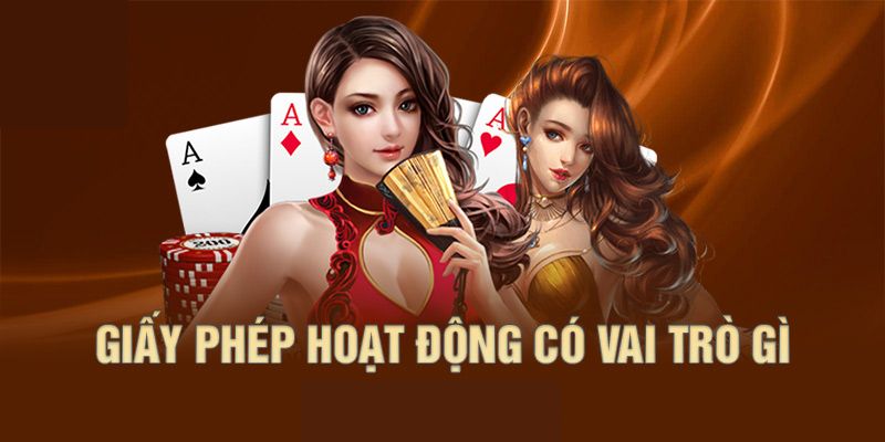 Giấy phép hoạt động có nghĩa là gì?